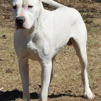 processed/d9d40929-6ae6-4b78-adb4-745a586c42eb/facility/daabe764-679f-44e6-b815-4a64cb2baf62