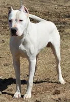 processed/d9d40929-6ae6-4b78-adb4-745a586c42eb/facility/daabe764-679f-44e6-b815-4a64cb2baf62