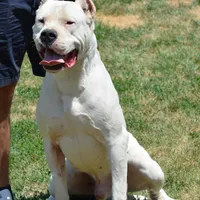 processed/d9d40929-6ae6-4b78-adb4-745a586c42eb/facility/f12ba2bd-76da-49a1-8604-9d9871d6d516