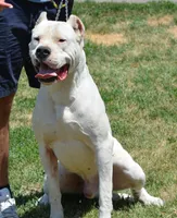 processed/d9d40929-6ae6-4b78-adb4-745a586c42eb/facility/f12ba2bd-76da-49a1-8604-9d9871d6d516