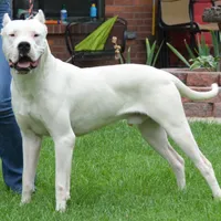 processed/d9d40929-6ae6-4b78-adb4-745a586c42eb/facility/f5bef63a-9dac-4951-9558-d2eab2a2979b