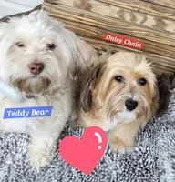 processed/d9d9cc22-e78b-4cab-94bf-7793670773cb/facility/07a27f40-a707-461d-9fb5-5e16f3b17f66