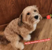 processed/d9d9cc22-e78b-4cab-94bf-7793670773cb/facility/61215a8a-8f15-4e34-92cd-6b6c05ee3f9e