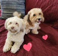 processed/d9d9cc22-e78b-4cab-94bf-7793670773cb/facility/9fbae0d8-1ccc-4f0b-aa54-6cd6afbe3eb4