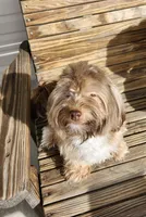 processed/d9d9cc22-e78b-4cab-94bf-7793670773cb/facility/a56d6c66-296f-4347-8893-e5b589bc9ccc