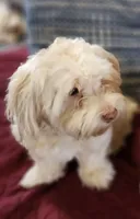 processed/d9d9cc22-e78b-4cab-94bf-7793670773cb/facility/c2100889-462c-430e-adb2-38ac5cf9e45c