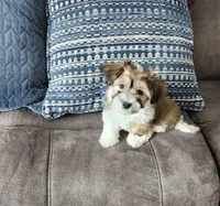 processed/d9d9cc22-e78b-4cab-94bf-7793670773cb/listing/9f3f0b09-9034-4da5-88d1-8c0f8d4db7e2/03c17320-5c78-46c0-9e82-3ba21a617429