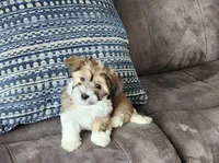 processed/d9d9cc22-e78b-4cab-94bf-7793670773cb/listing/9f3f0b09-9034-4da5-88d1-8c0f8d4db7e2/25ae2f38-5d0b-4d94-8833-80af8fdd845f