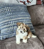 processed/d9d9cc22-e78b-4cab-94bf-7793670773cb/listing/9f3f0b09-9034-4da5-88d1-8c0f8d4db7e2/4994125a-e6a6-435b-8e92-4caeb367dfb3