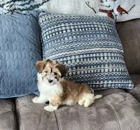 processed/d9d9cc22-e78b-4cab-94bf-7793670773cb/listing/9f3f0b09-9034-4da5-88d1-8c0f8d4db7e2/54765aef-8d0d-4631-8e65-d52dfd42a37a