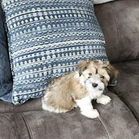 processed/d9d9cc22-e78b-4cab-94bf-7793670773cb/listing/9f3f0b09-9034-4da5-88d1-8c0f8d4db7e2/83d61227-a9a8-465e-82e5-daaea854c186