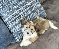 processed/d9d9cc22-e78b-4cab-94bf-7793670773cb/listing/9f3f0b09-9034-4da5-88d1-8c0f8d4db7e2/8dd5ef53-f75d-48dd-8ceb-a4a5ae904143