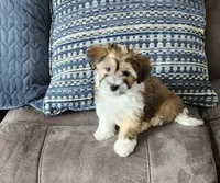 processed/d9d9cc22-e78b-4cab-94bf-7793670773cb/listing/9f3f0b09-9034-4da5-88d1-8c0f8d4db7e2/bde857b3-1152-4e27-a371-d16ccec98526