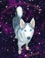 Cinnamon, a female Siberian Husky for sale in Coeburn, VA – Photo 6 of 7