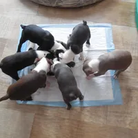 processed/d9e1db5f-6ad3-41bb-983a-7d321a6055b1/facility/145fe574-b2cf-409a-8965-c89e7cd7866a