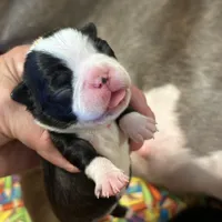 processed/d9e1db5f-6ad3-41bb-983a-7d321a6055b1/facility/160af22f-86b6-4478-91ac-b2d3cde9a117