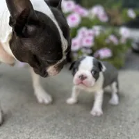 processed/d9e1db5f-6ad3-41bb-983a-7d321a6055b1/facility/3802de42-6806-4316-a6a5-f4eefca82021