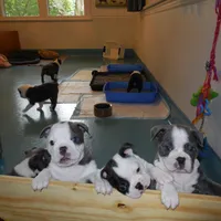 processed/d9e1db5f-6ad3-41bb-983a-7d321a6055b1/facility/41e7bea1-31f4-4d12-97ff-6cf7e0528be6