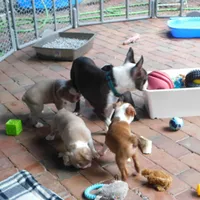 processed/d9e1db5f-6ad3-41bb-983a-7d321a6055b1/facility/79ac76b5-67a0-4918-8acf-eb3a97fc3b8f