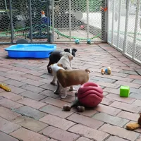 processed/d9e1db5f-6ad3-41bb-983a-7d321a6055b1/facility/7de02115-6312-4104-bab3-57479b37cd65