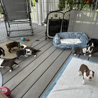 processed/d9e1db5f-6ad3-41bb-983a-7d321a6055b1/facility/a4571519-74ae-435c-8c3b-a6a7a0e4f870