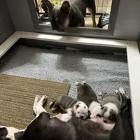 processed/d9e1db5f-6ad3-41bb-983a-7d321a6055b1/facility/ae359620-e04e-4ef4-b4c1-89d6afc80208