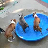 processed/d9e1db5f-6ad3-41bb-983a-7d321a6055b1/facility/b538f3b1-e83d-48f3-a05c-4554c3a94292