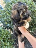 processed/d9f08df6-2f42-42da-90b7-17446844fa66/listing/fc94be1e-6896-4ab4-b311-3968e2678ba5/2817b88b-dc19-4031-a6eb-a8e46916db0a