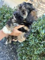 processed/d9f08df6-2f42-42da-90b7-17446844fa66/listing/fc94be1e-6896-4ab4-b311-3968e2678ba5/b615582d-edf7-498d-a64b-b2e52391b55e