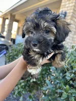 processed/d9f08df6-2f42-42da-90b7-17446844fa66/listing/fc94be1e-6896-4ab4-b311-3968e2678ba5/baeca0a9-9fe3-473c-8188-6b2591753d15