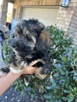 processed/d9f08df6-2f42-42da-90b7-17446844fa66/listing/fc94be1e-6896-4ab4-b311-3968e2678ba5/c8cdf795-6222-4ab0-8143-af3bf63cc79d