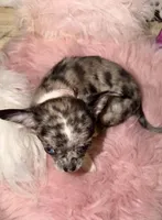 processed/d9f21fac-9984-4f6f-afae-5989796c2691/listing/06446750-01b1-4569-9246-e3bbe694e35e/2940dbb1-174a-4919-943a-0fd8ed6f7d3c