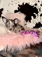 processed/d9f21fac-9984-4f6f-afae-5989796c2691/listing/06446750-01b1-4569-9246-e3bbe694e35e/3048707e-0262-48dd-a553-03297367ccd4