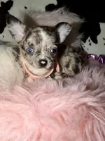 processed/d9f21fac-9984-4f6f-afae-5989796c2691/listing/06446750-01b1-4569-9246-e3bbe694e35e/e6d22338-c080-4876-abf7-6f9c71776064