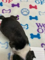 processed/d9f9ce60-007d-4e05-b50c-08be29aa9df4/listing/02291a4a-8ee8-49f5-bbbe-7df18c0fcd2b/15bde5e7-d2b3-40cb-aca3-366b23b73cdf