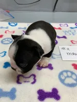 processed/d9f9ce60-007d-4e05-b50c-08be29aa9df4/listing/2a0acd48-e5bf-470d-aa2d-efa12fd51a24/64ea903b-21dd-4903-89f4-21ed0481cbae