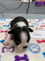 processed/d9f9ce60-007d-4e05-b50c-08be29aa9df4/listing/2a0acd48-e5bf-470d-aa2d-efa12fd51a24/da017604-b51c-4c39-a57f-bad2d83b4d39