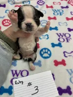 processed/d9f9ce60-007d-4e05-b50c-08be29aa9df4/listing/42d4cd49-040f-4483-94fb-55695b56a847/1b76ea60-4a03-4df0-9780-9cf0571fd10d