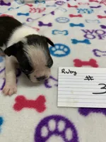 processed/d9f9ce60-007d-4e05-b50c-08be29aa9df4/listing/42d4cd49-040f-4483-94fb-55695b56a847/2e1f2b26-b820-4df9-a86b-0ea402a0783d