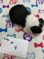 processed/d9f9ce60-007d-4e05-b50c-08be29aa9df4/listing/738eef9d-040a-43c8-a5de-c80710b77093/317d19df-d8f5-4119-be76-1f6e804c953d