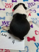 processed/d9f9ce60-007d-4e05-b50c-08be29aa9df4/listing/738eef9d-040a-43c8-a5de-c80710b77093/ba3bf437-0e1a-4cf0-ac88-fd83ff7a7374