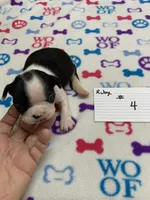 processed/d9f9ce60-007d-4e05-b50c-08be29aa9df4/listing/738eef9d-040a-43c8-a5de-c80710b77093/e237fd3b-493e-4f01-8263-caaff181dbf5