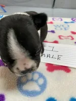 processed/d9f9ce60-007d-4e05-b50c-08be29aa9df4/listing/790e2574-6892-45d8-a874-ddb7158b323f/1c300616-ee9b-4856-81cb-2f465b9cdfd6