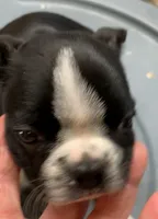 processed/d9f9ce60-007d-4e05-b50c-08be29aa9df4/listing/790e2574-6892-45d8-a874-ddb7158b323f/66e4d07b-8122-4dc2-a8cb-83313724b9b7