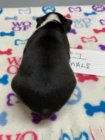 processed/d9f9ce60-007d-4e05-b50c-08be29aa9df4/listing/790e2574-6892-45d8-a874-ddb7158b323f/cb10445e-c8da-4c89-842b-b3af38cc779f