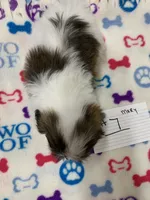 processed/d9f9ce60-007d-4e05-b50c-08be29aa9df4/listing/9144c826-776e-4694-b03d-f539fd18c533/1ee96aa2-a153-49ee-a8ee-212f87df6fd0