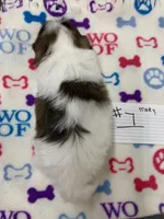 processed/d9f9ce60-007d-4e05-b50c-08be29aa9df4/listing/9144c826-776e-4694-b03d-f539fd18c533/6ae24120-aa74-4dc0-a674-19fa1542bbd3