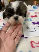 processed/d9f9ce60-007d-4e05-b50c-08be29aa9df4/listing/9144c826-776e-4694-b03d-f539fd18c533/6ca43464-f119-490a-8813-c64e8b459dc9