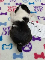 processed/d9f9ce60-007d-4e05-b50c-08be29aa9df4/listing/93acb46d-4bf7-4528-8077-7e39965ec379/c1687f7b-f169-4571-a4af-7e7f3798cb6a