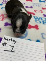 processed/d9f9ce60-007d-4e05-b50c-08be29aa9df4/listing/c7e8e47c-b997-4a5c-9f3c-3fa4bb76ff68/3c97cc5f-3478-4e20-86ff-5fdd87a4e4a6